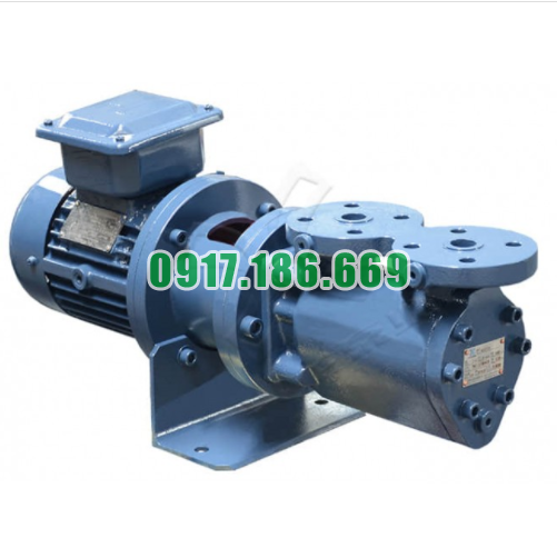 Bơm Trục Vít Ba XSPF20-38