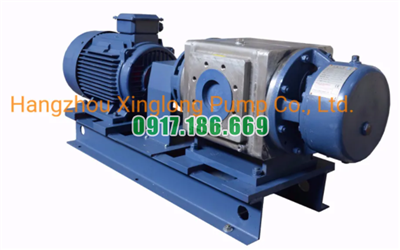 Bơm Trục Vít Đôi XA06-034(1450v/p)