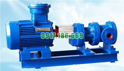 Bơm Trục Vít Đôi XS09-022(1450v/p)