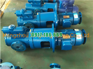 Bơm Trục Vít Ba XSM80-42(2900v/p)