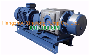 Bơm Trục Vít Đôi XA06-034(1450v/p)